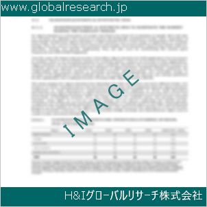 グローバルリサーチ調査資料のイメージ